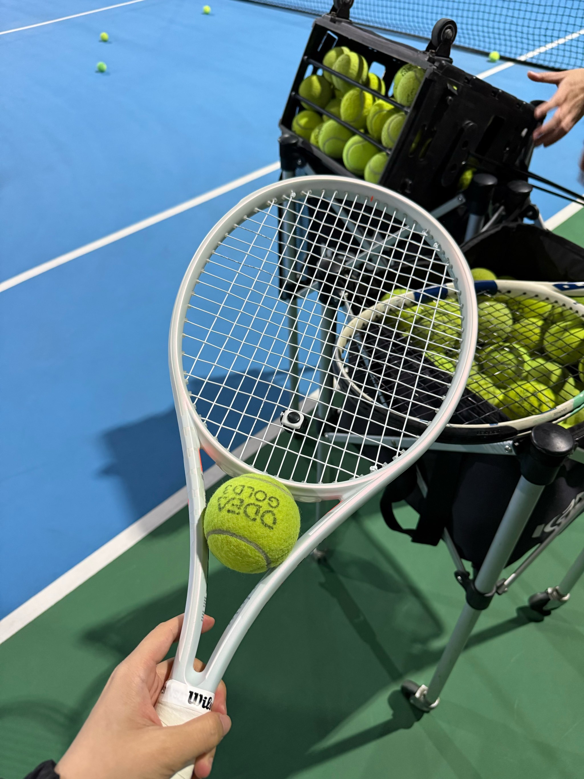 那种既有国 那种既有国